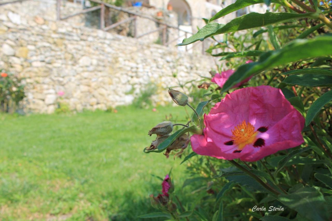 B&B Rubando Le Nuvole Орко Фелино Екстериор снимка